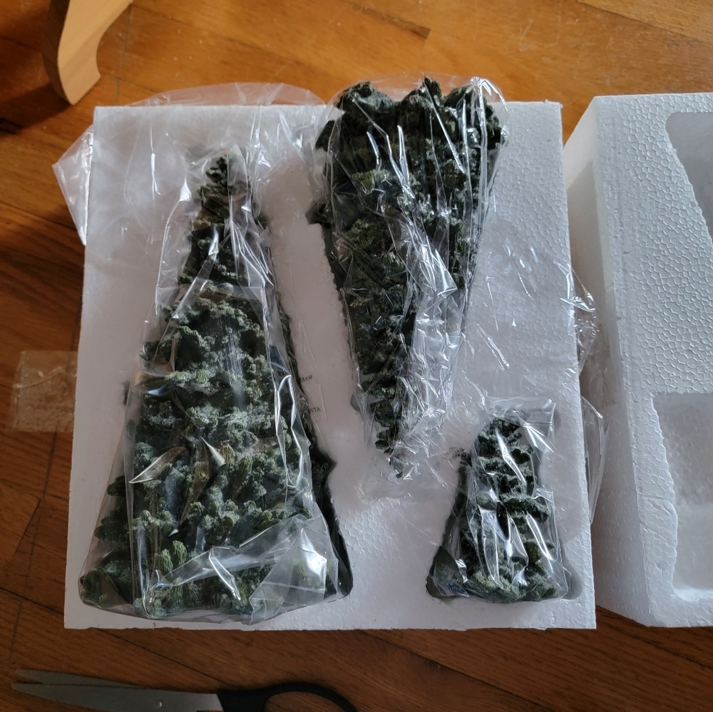 Boyds bears evergreen trees